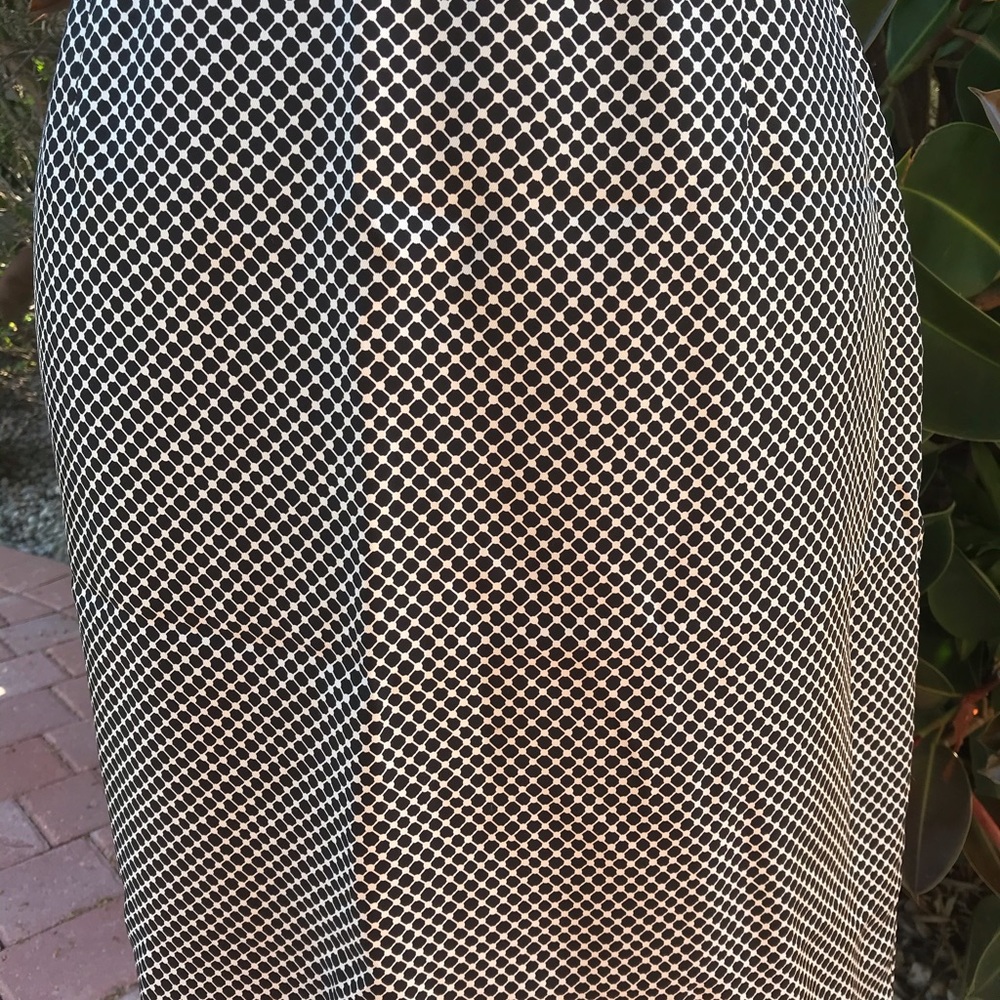 Ann Taylor Skirt